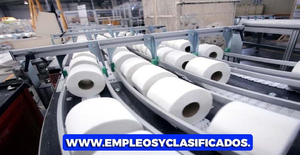 empacar papel de baño desde casa